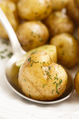 Baby potatoes with dill and butter