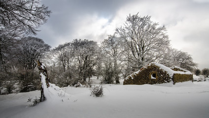 Cabaña abandonada en la nieve