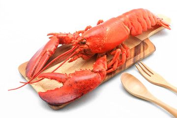 Red lobster, the best of lobster in the world