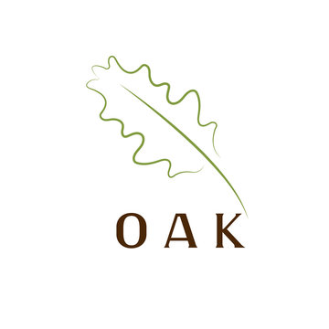 oak leaf vector design template