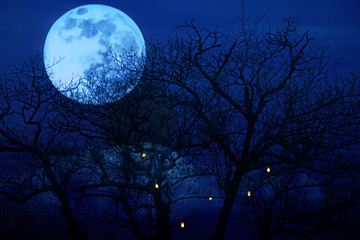 bright full moon with spooky tree branches background