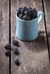 Fototapeta na wymiar Mug of blueberries