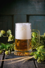 Mug of lager beer