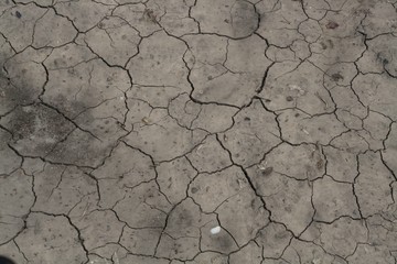 drought
