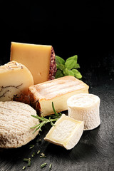 Delicious cheese platter with herbs