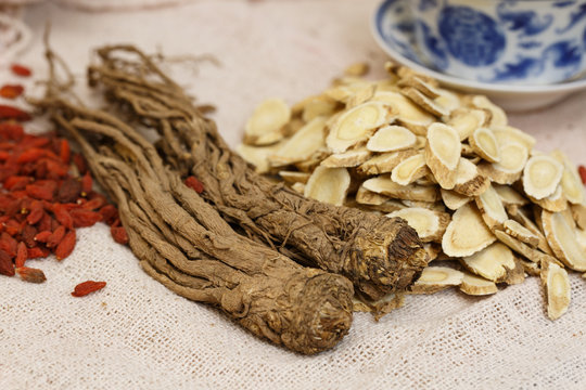 astragalus,