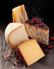 Wedges of Gourmet Cheese with Dark Background