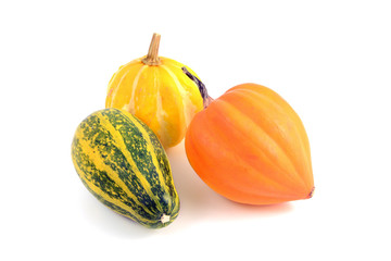 three decorative mini pumpkins