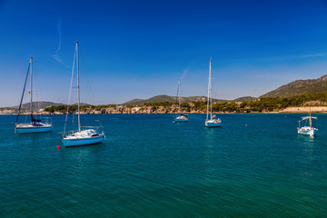 Fototapeta premium floating yachts in the harbor of Portals Nous