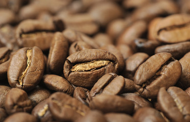 Roasted coffee beans, shallow DOF