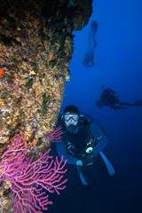 Scuba divers in Mediterranean Sea