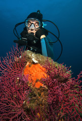 Scuba diver in Mediterranean Sea
