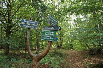 Wegweiser im Naturschutzgebiet Wartburg-Hohe Sonne 