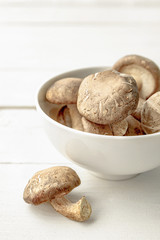 Mushrooms in a ceramic bowl on wood table, Still life with mushr