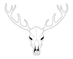Deer skull line art vector illustration