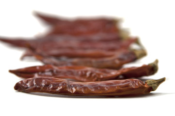 Dry chillies isolated on white background