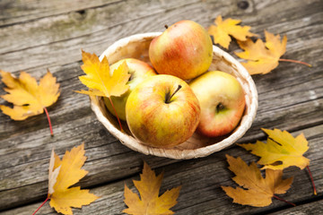 Basket of apples