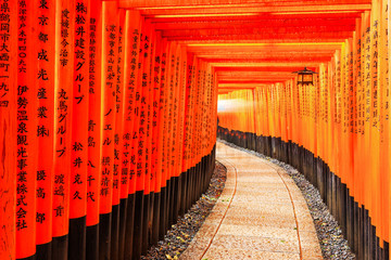 Fototapeta premium Torii gate, Kyoto, Japan