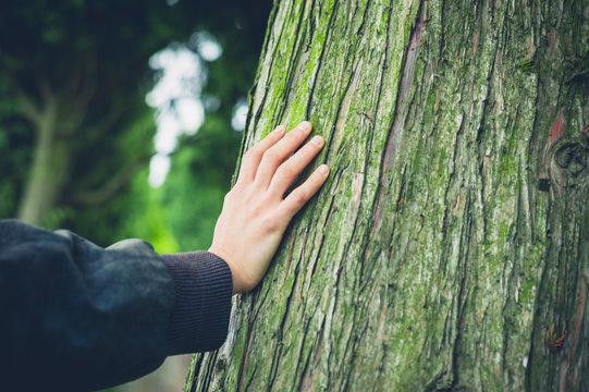 Young female hand resting on tree