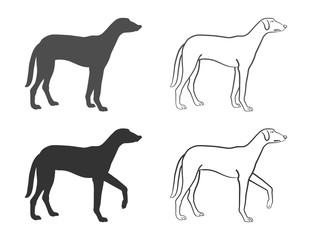 beagle in different poses on an isolated background