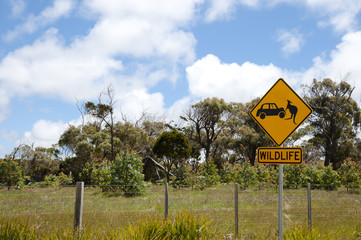 Wildlife Sign - Tasmania
