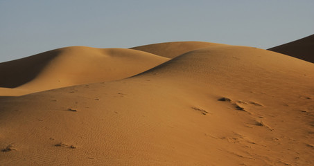 Fototapeta na wymiar Desert sand dune