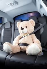 Teddy bear
