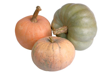 Three colored pumpkins