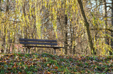 melancholic nook with a bench in the park in autumn