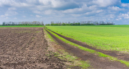 Landscape with agricultural fields and country road in central Ukraine cloudy  spring day