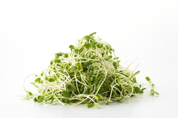 Sunflower Sprouts