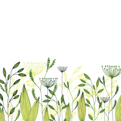 Vector grass field. Illustration with herbs, botanical art