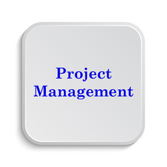 Project management icon