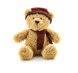 Teddy bear christmas doll toy on white background.