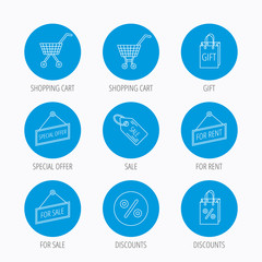 Shopping cart, gift bag and sale coupon icons.