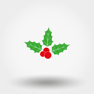 Holly berry. Christmas symbol.