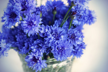 Blue cornflowers
