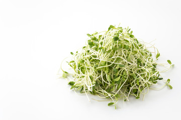 Sunflower Sprouts