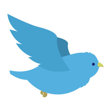 Flying blue bird illustration