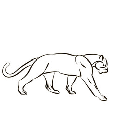 Obraz na płótnie Canvas tiger vector illustration