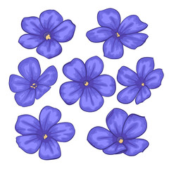 Beautiful Vector flowers set. Colorful floral collection with flowers.