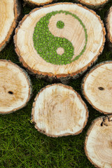 Tree stumps on the grass with ying yang symbol.