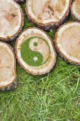 Tree stumps on the grass with ying yang symbol.