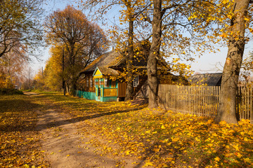 Street in village in golden autumn