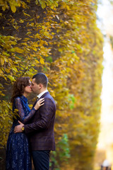 Fototapeta premium beautiful wedding couple in park. kiss and hug each other