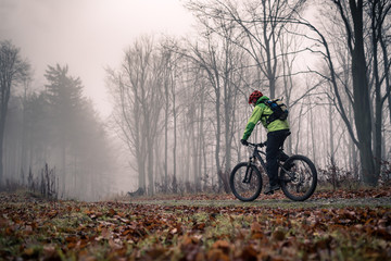 Mountain biker on cycle trail in woods - 96545250