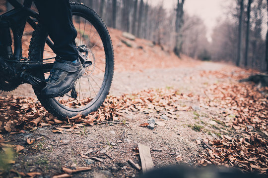 Mountain biker on cycling trail in woods