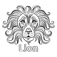 Vector sketch of a lion's face. Lion head, front view. Hand drawn illustration