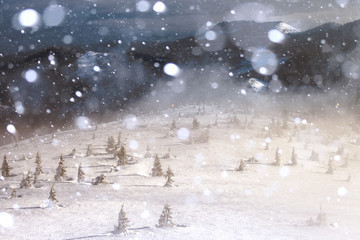 Trees covered with hoarfrost and snow in mountains