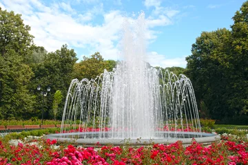 Photo sur Plexiglas Fontaine grande fontaine dans un parc d& 39 été